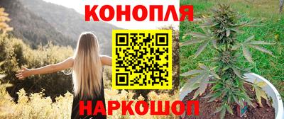 apvp Партизанск