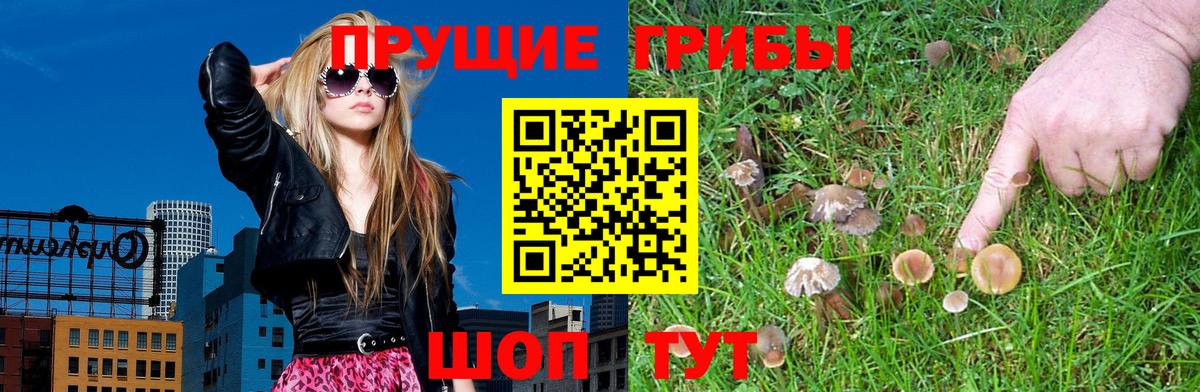 Псилоцибиновые грибы Psilocybe  Псилоцибиновые грибы ЛСД  Ростов Великий  Вход с VPN 